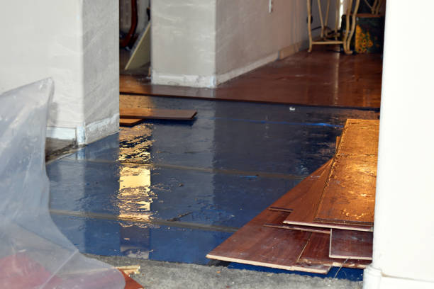 Professional Burst Pipe Cleanup technician working in Kiln, MS